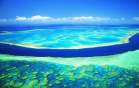 高清BBC纪录片《大堡礁 》(Great Barrier Reef 2012)三部合集英语中字[百度云网盘下载][MKV/6.33GB]