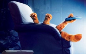 美国动画电影《加菲猫》2部(2004-2006)合集高清英语中字[百度云网盘下载]